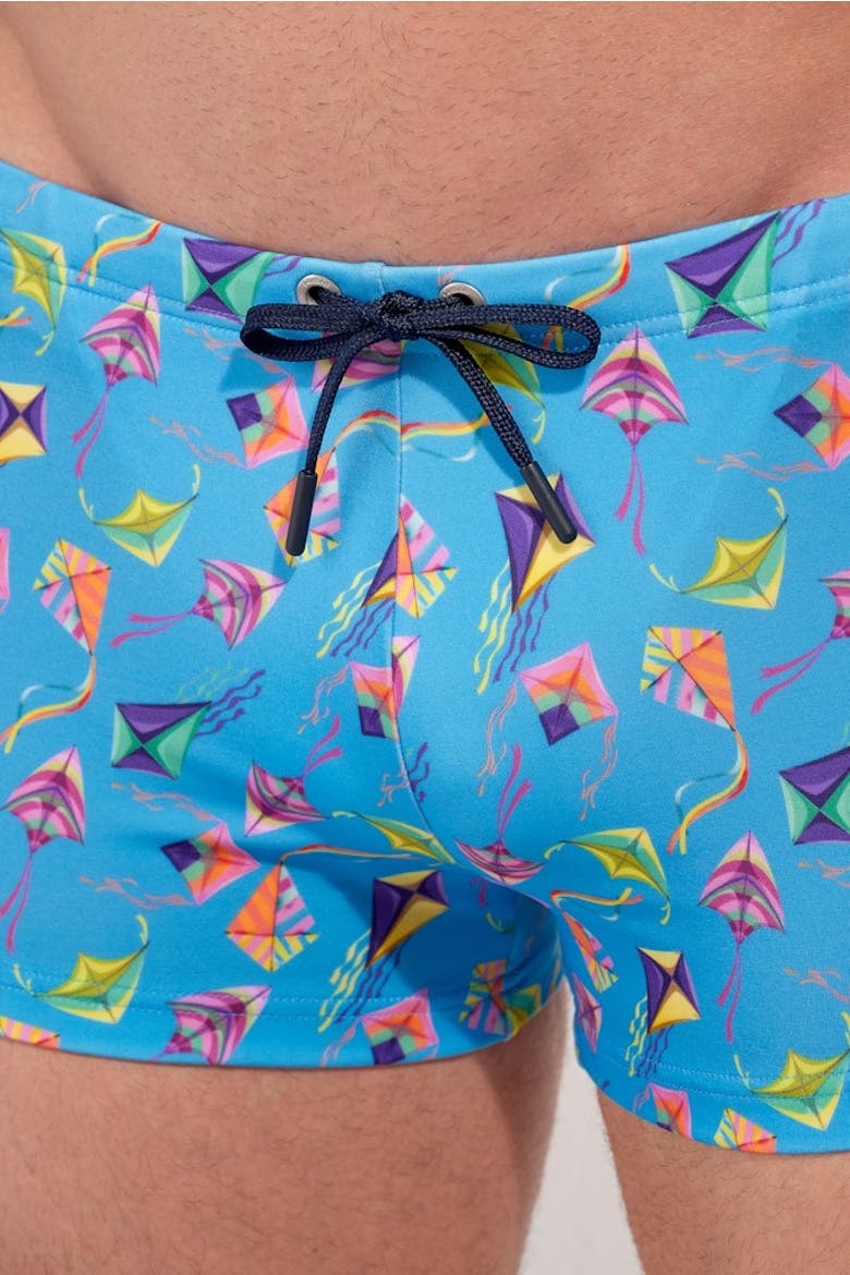 Lido Swim Shorts, Alternate, color, Blue Print
