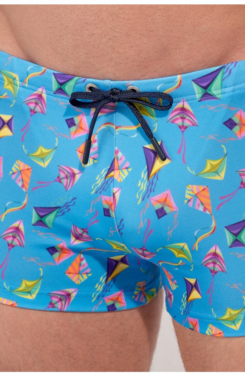 HOM Lido Swim Shorts, Alternate, color, Blue Print