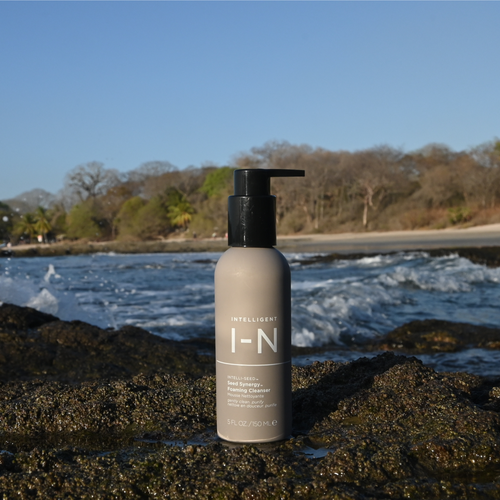 Intelligent Nutrients Seed Synergy Foaming Cleanser