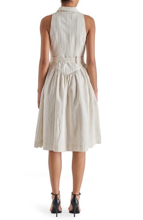 Steve Madden Mary Pinstripe Sleeveless Shirtdress In Neutral