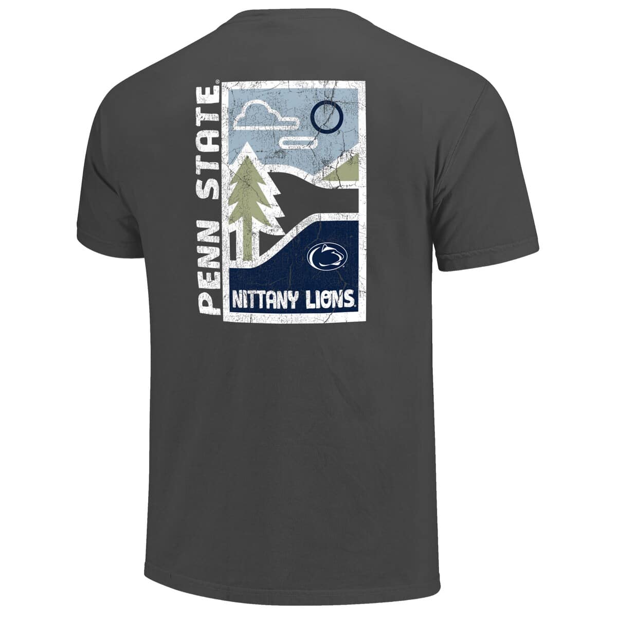 IMAGE ONE Men's Graphite Penn State Nittany Lions Comfort Colors ...