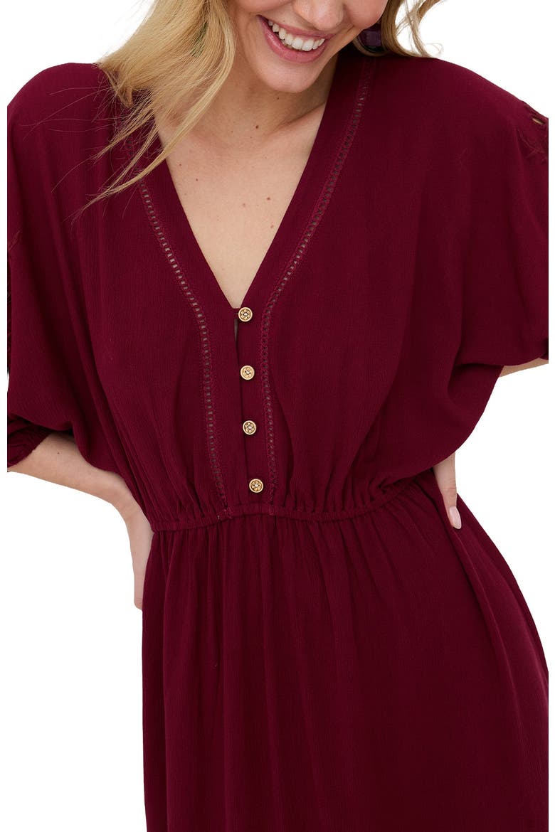 Somerton Kaftan Style Embroidered Maxi Dress, Alternate, color, Burgundy