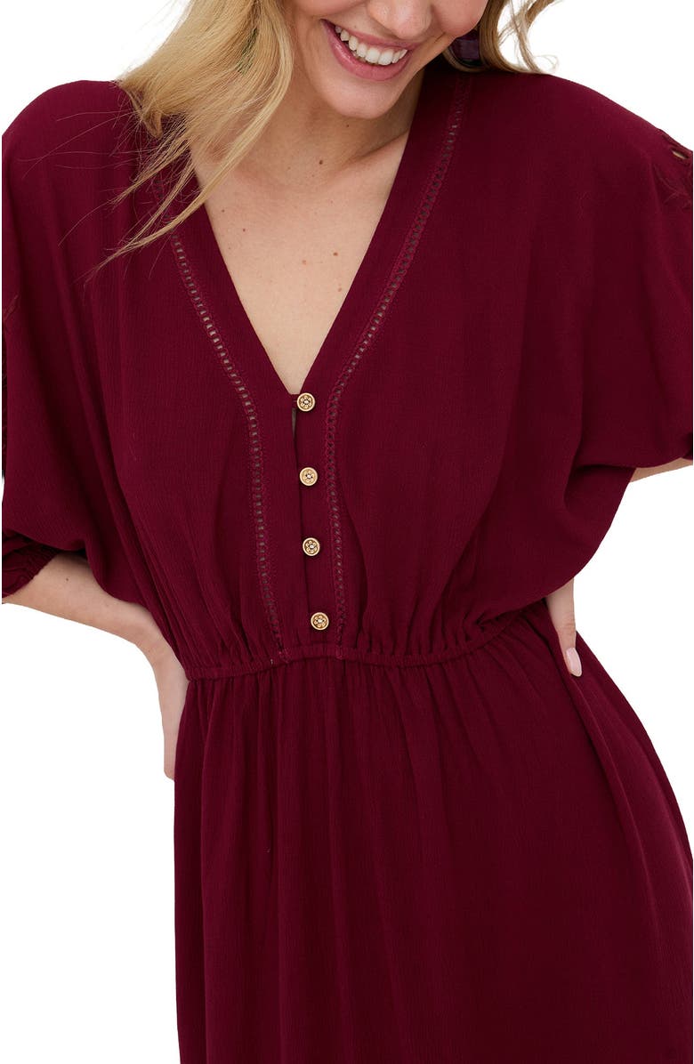 Raffya Somerton Kaftan Style Embroidered Maxi Dress, Alternate, color, Burgundy