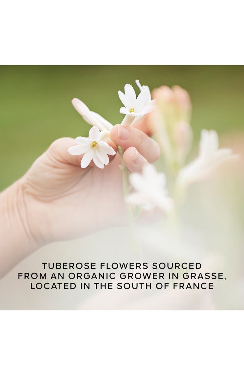 Guerlain Aqua Allegoria Florabloom Forte Eau de Parfum Gift Set (Limited Edition) $172 Value, Alternate, color, 