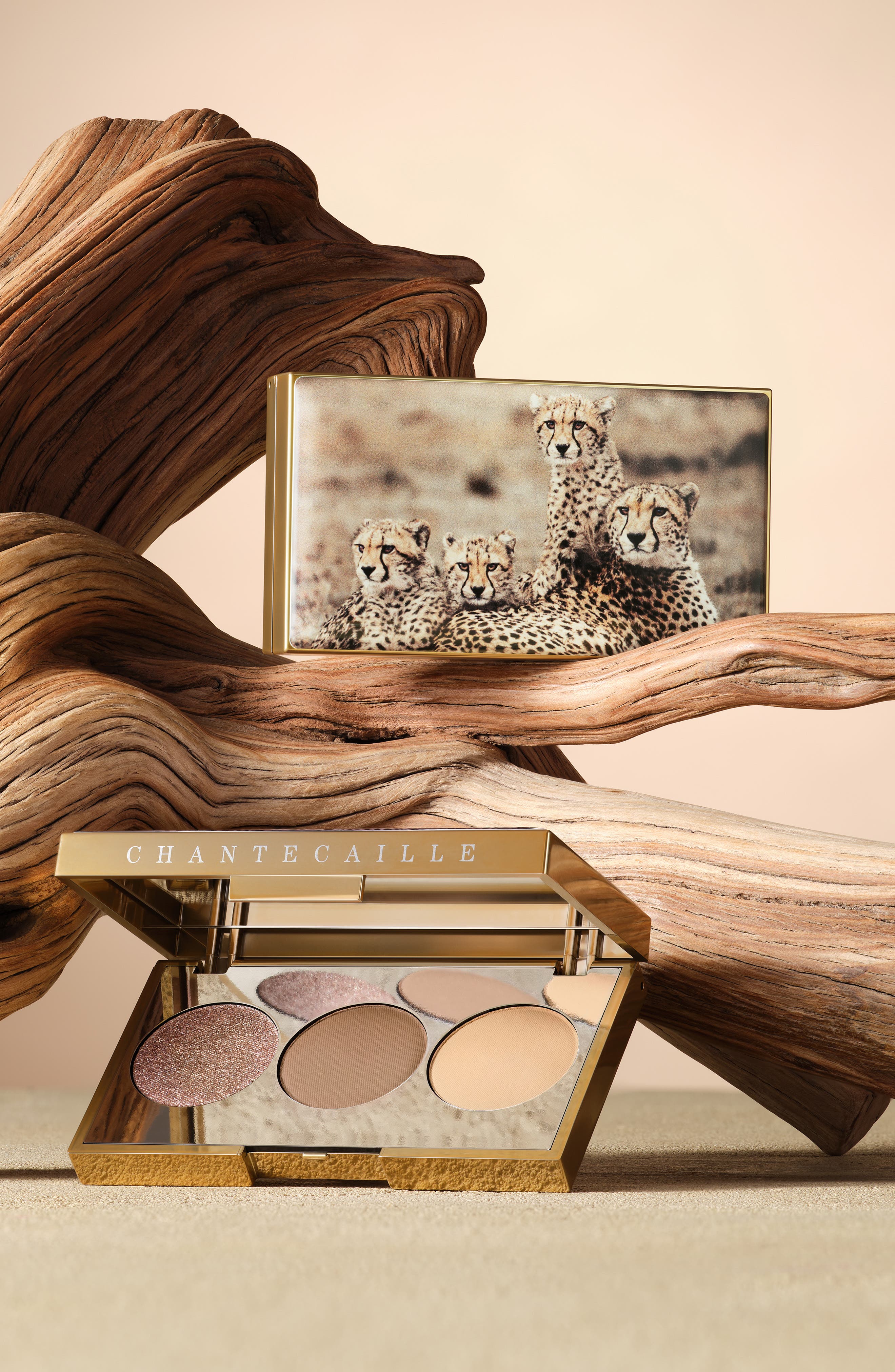 Chantecaille Cheetah Eyeshadow Trio (Women) | Nordstrom