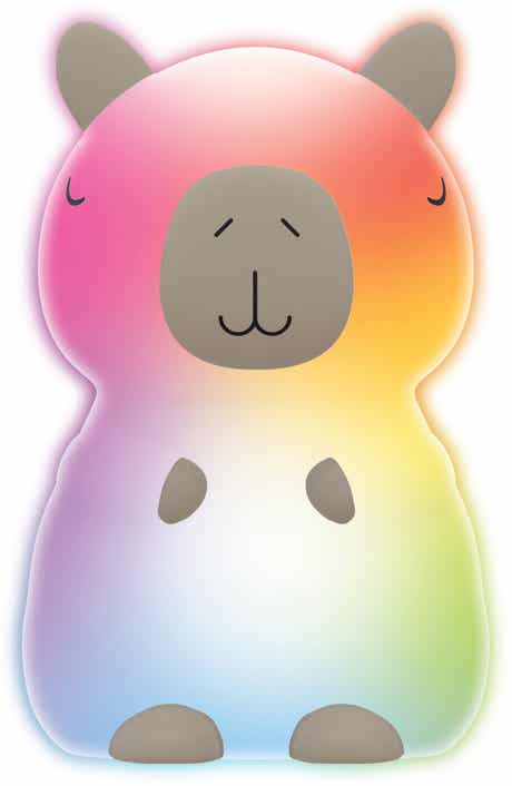 Assorted Squishy Light