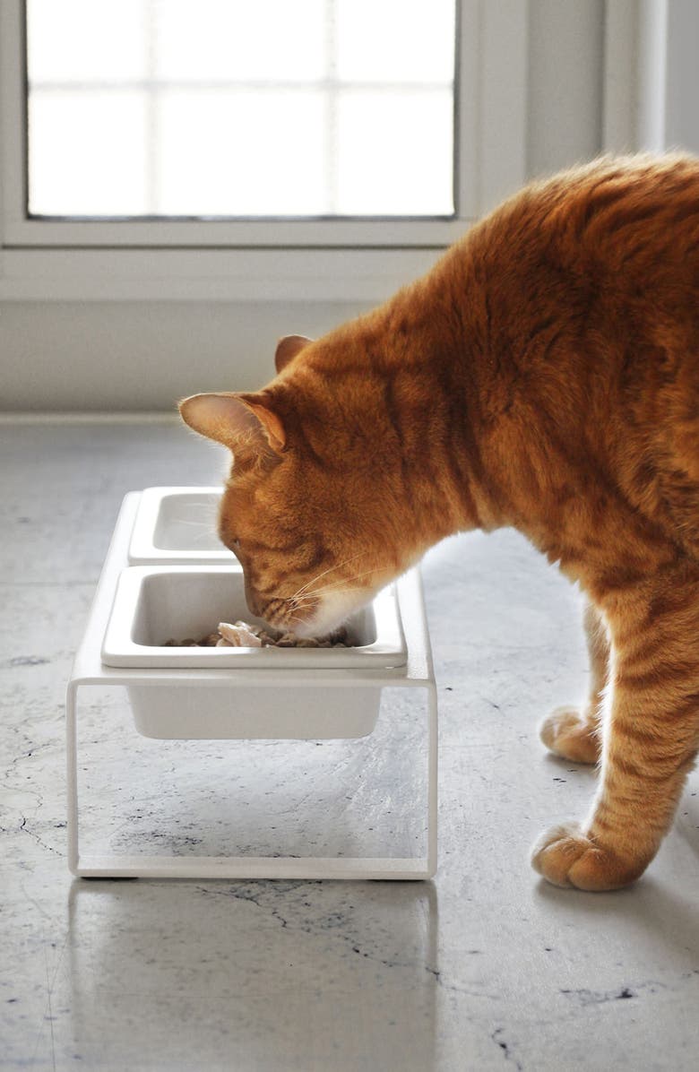 Yamazaki Pet Food Bowls & Stand, Alternate, color, White