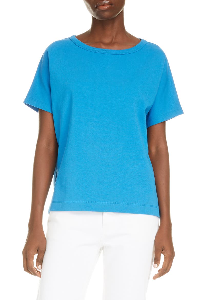 Harril Cotton T-Shirt, Main, color, BLUE