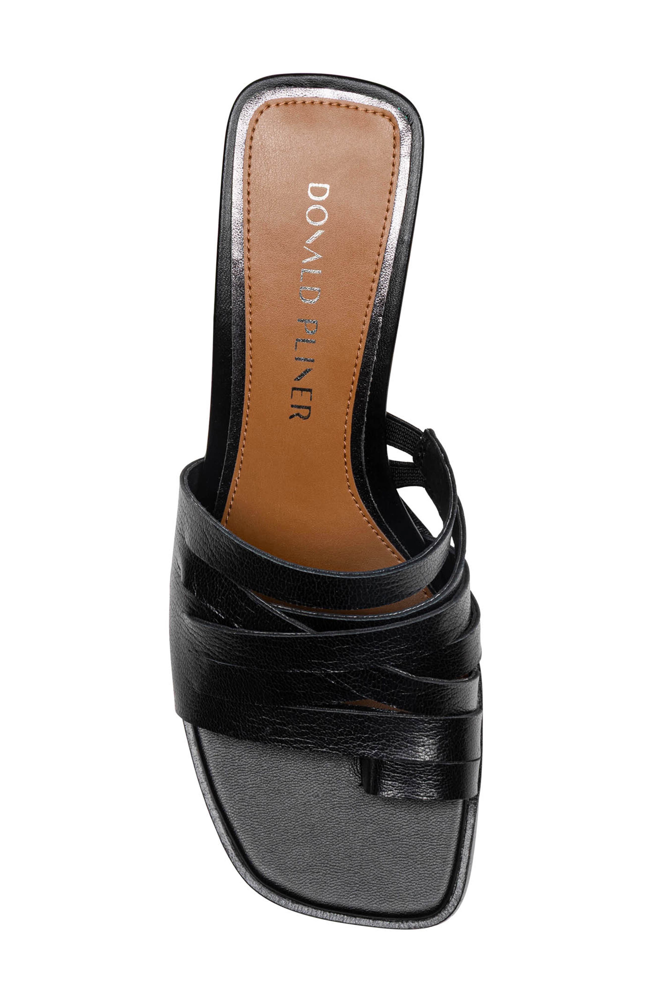 Donald Pliner Dayvi Toe Loop Sandal, Alternate, color, Black