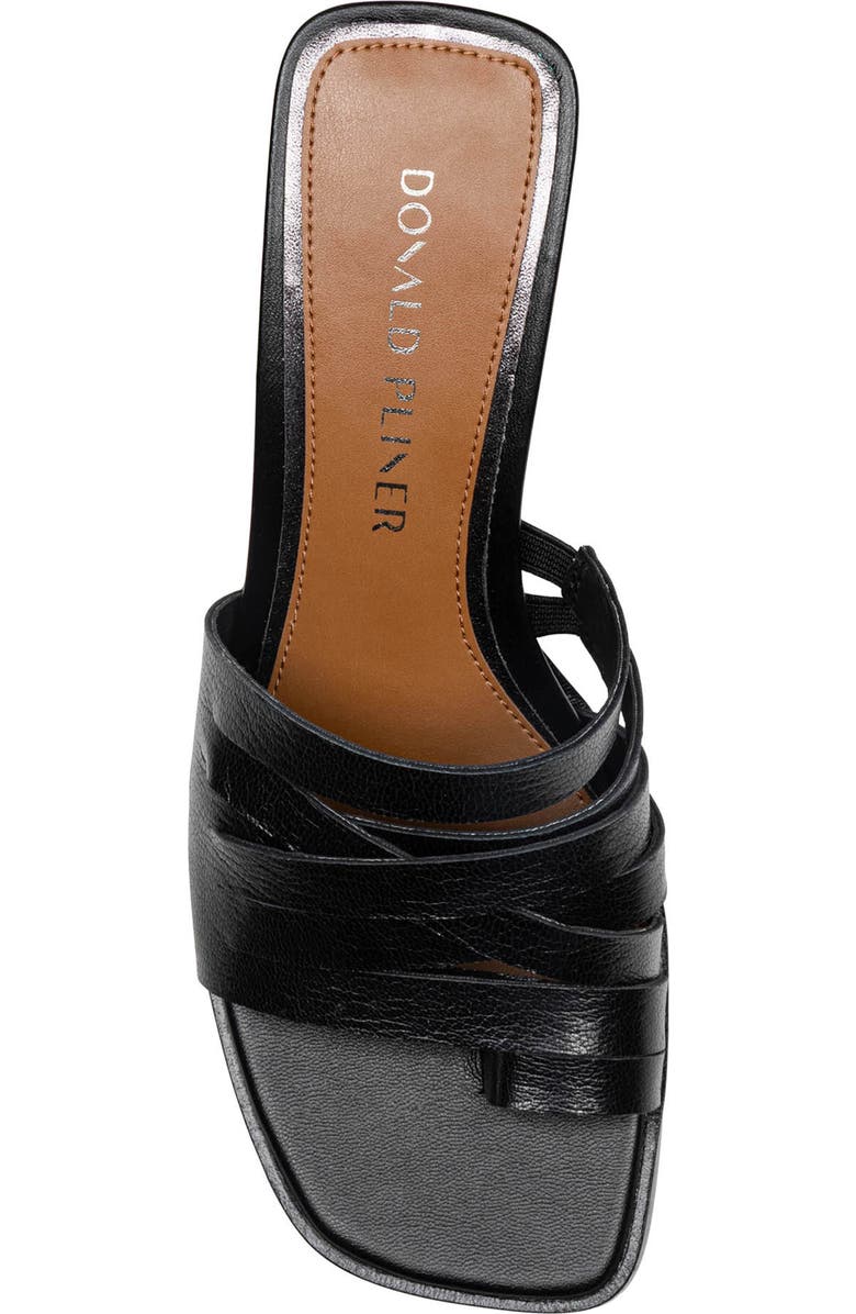 Donald Pliner Dayvi Toe Loop Sandal, Alternate, color, Black