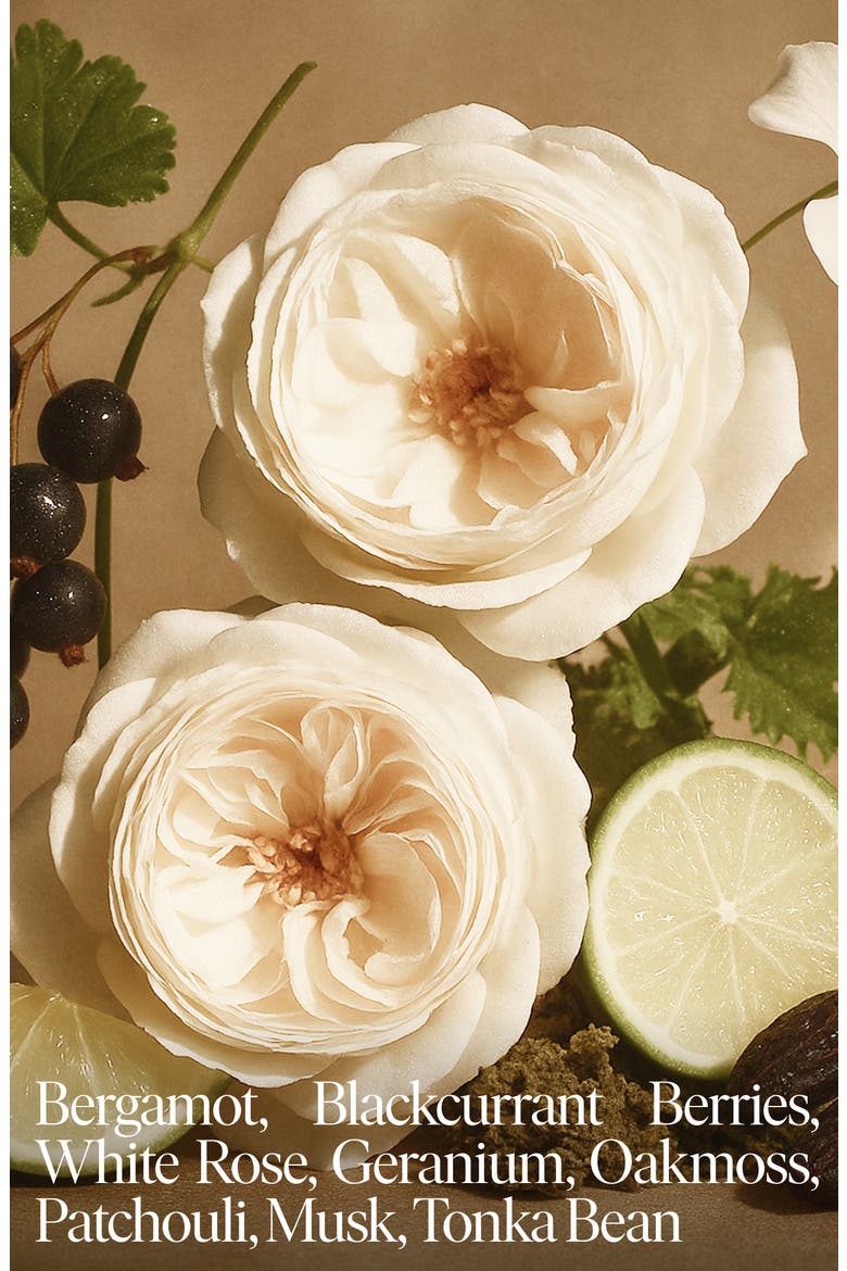 No 01 Rose Refillable Candle, Alternate, color, BERGAMOT WHITE ROSE