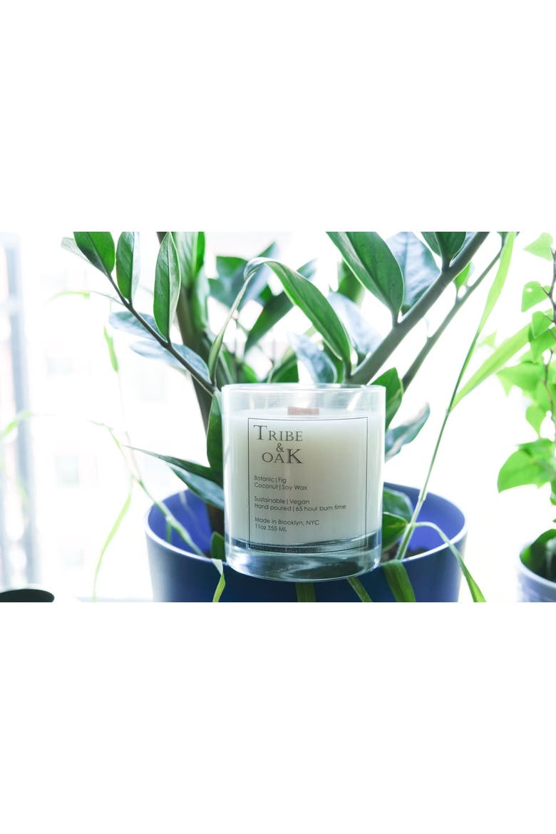 Botanic Fig Coconut-Soy Candle, Alternate, color, No Color