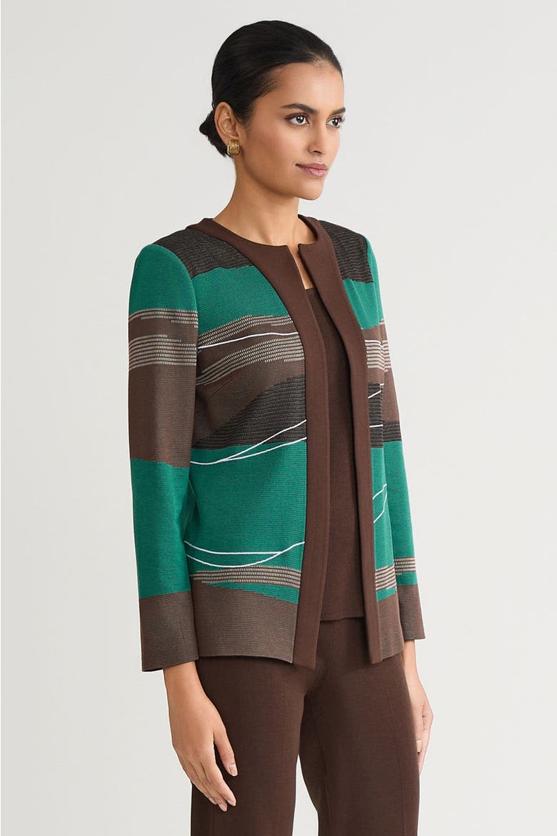 Heritage Embroidered Landscape Jacquard Knit Jacket, Alternate, color, Everest/Dark Umber/Black/Ivory