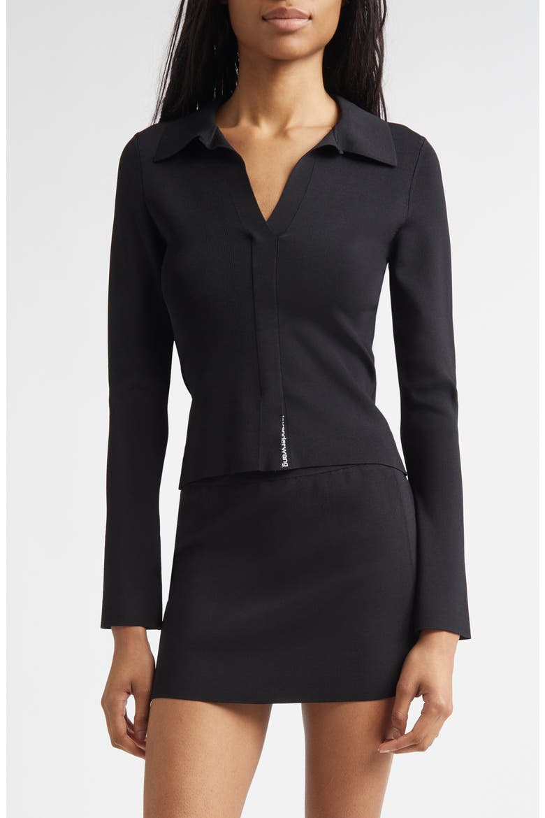 Long Sleeve Fixed Placket Polo Sweater, Main, color, BLACK