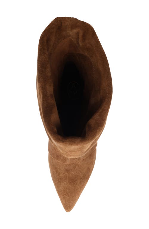 Ash Virgee Pointed Toe Kitten Heel Bootie In Brown