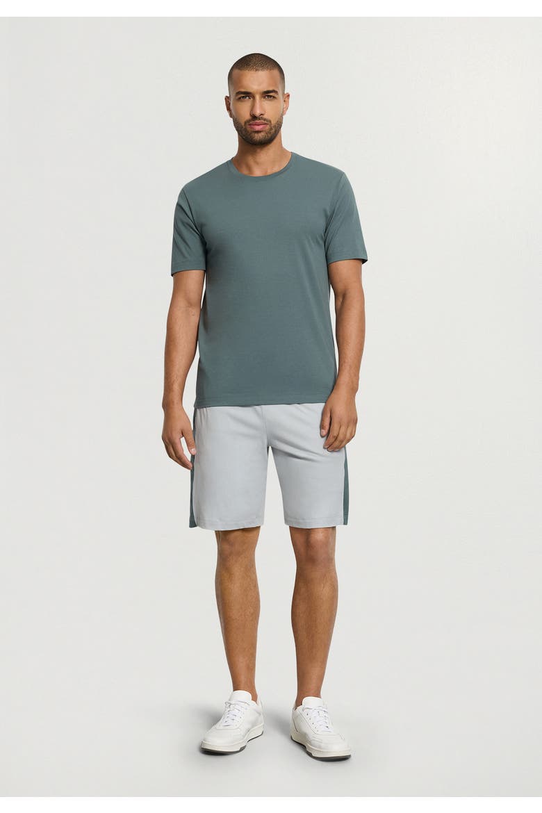 Night And Day Cotton Drawstring Shorts, Alternate, color, Skyline Gray