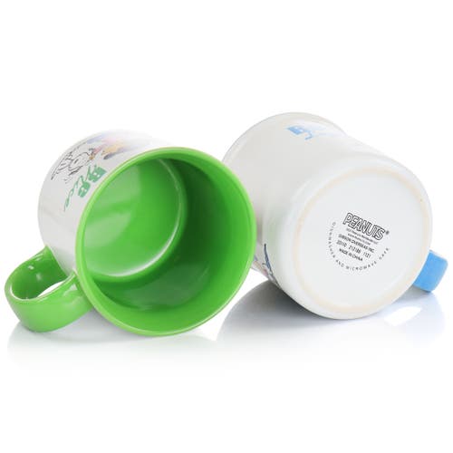 Peanuts Gentle Reminders Stoneware 4 Piece 21oz Mug Set In Multi