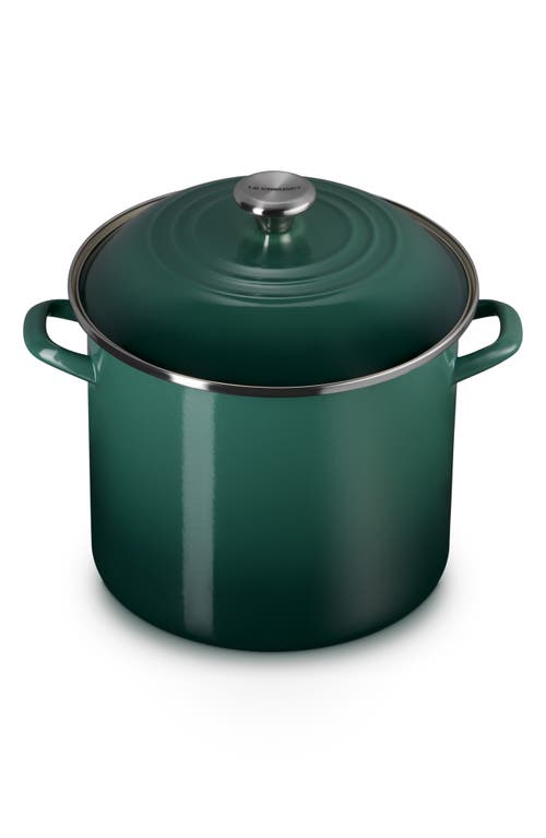 Le Creuset Enameled Stainless Steel Stockpot In Green