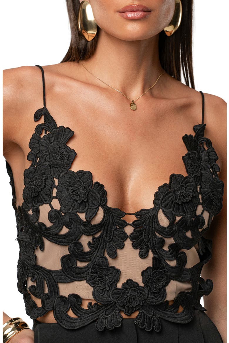 Anahi Embroidered Lace Crop Camisole, Alternate, color, BLACK