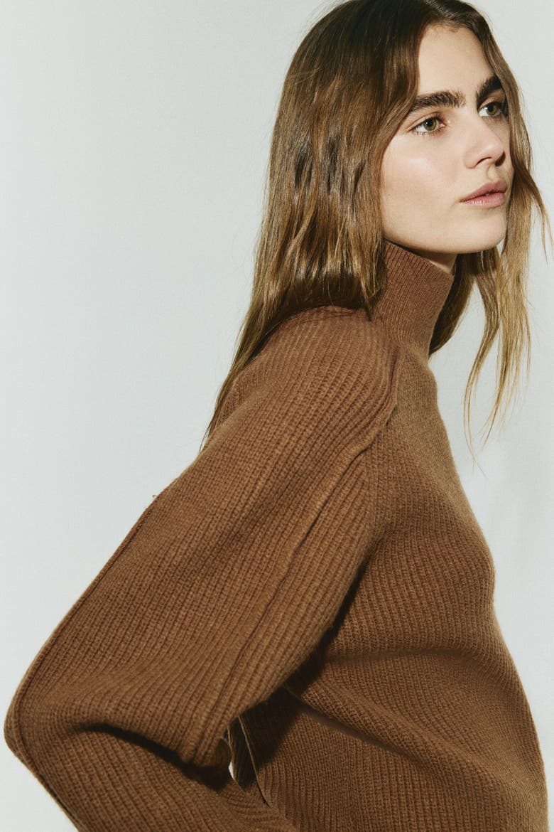 Rib-knit Turtleneck Jumper, Alternate, color, Brown
