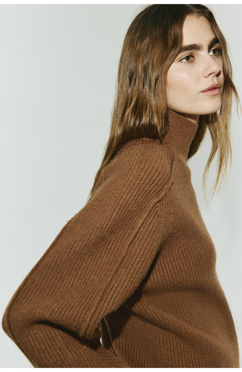 H&M Rib-knit Turtleneck Jumper, Alternate, color, Brown
