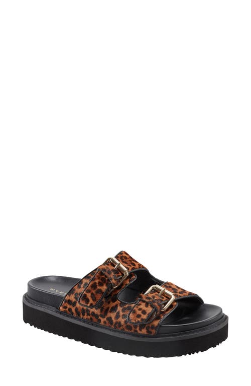 Marc Fisher Ltd Agustaly Genuine Calf Hair Sandal In Medium Brown Calf Hair