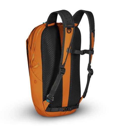 Shop Pacsafe Eco 25l Anti Theft Backpack In Econyl Canyon