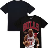 Mitchell & Ness Men's Mitchell & Ness Dennis Rodman Black Chicago Bulls Hardwood Classics Player Arch T-Shirt