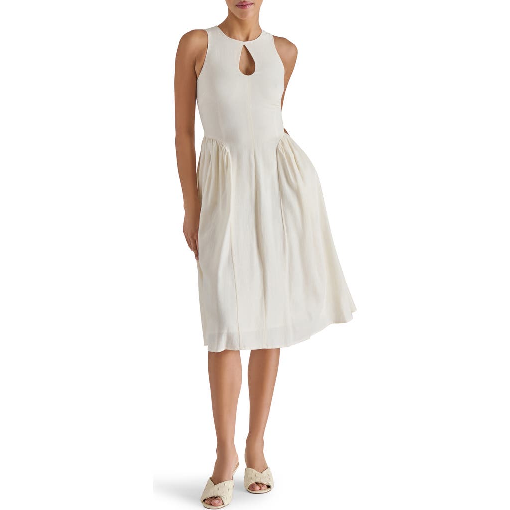 Steve Madden Everleigh Sleeveless Fit & Flare Dress