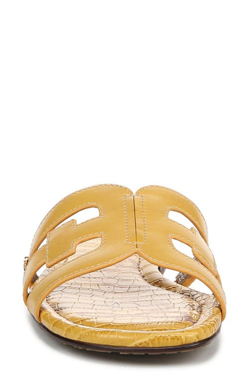 Sam Edelman Bay Slide Sandal In Sunflower/sunflower