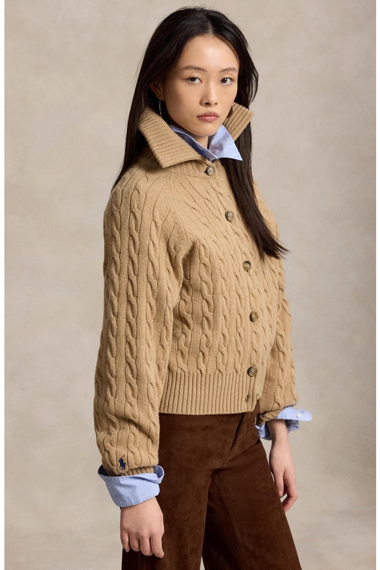 Cable Knit Wool & Cashmere Cardigan, Alternate, color, CL CAM MEL