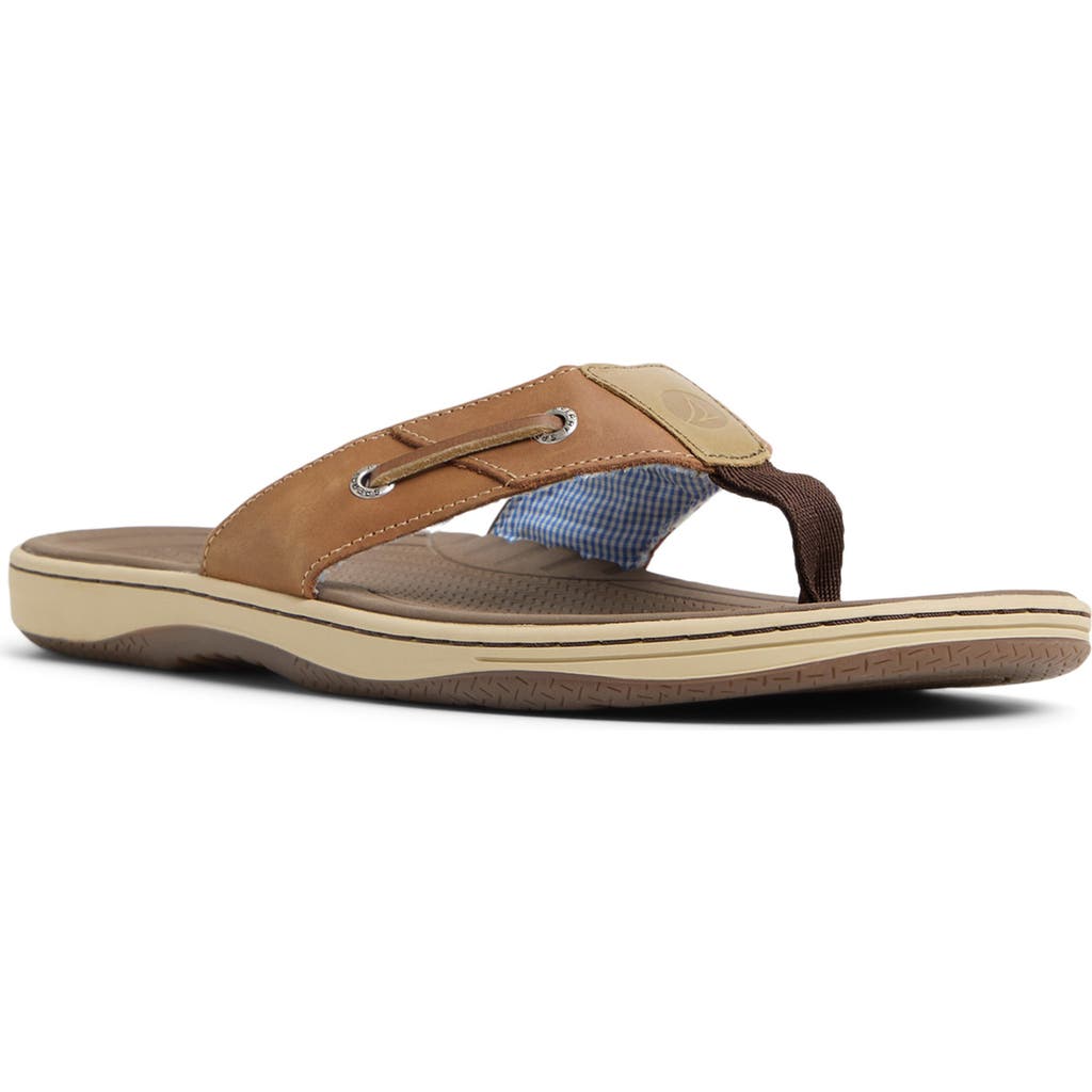 Sperry Baitfish Flip Flop In Tan Suede