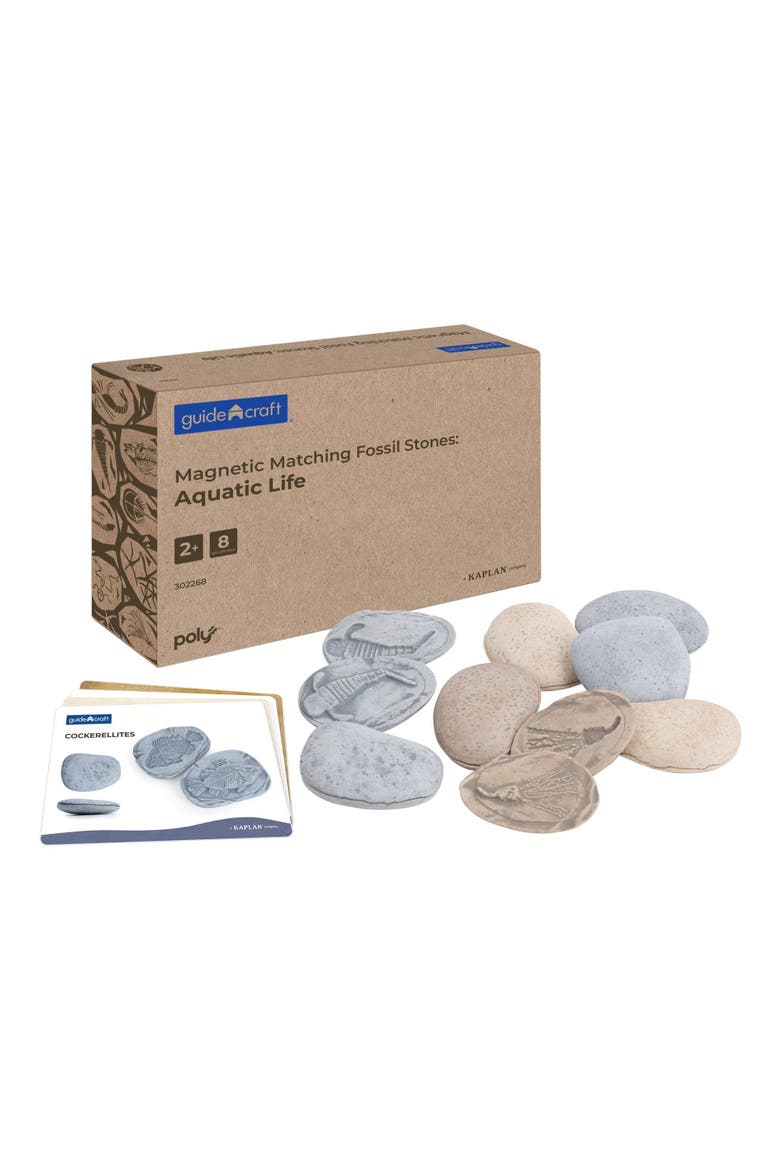Magnetic Matching Aquatic Life Fossil Stones - Set of 8, Main, color, Gray