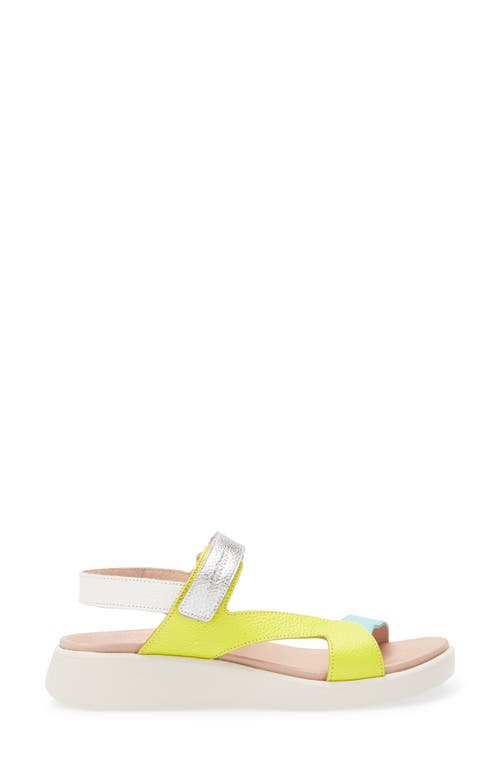Wonders Colorblock Leather Sandal In Multi