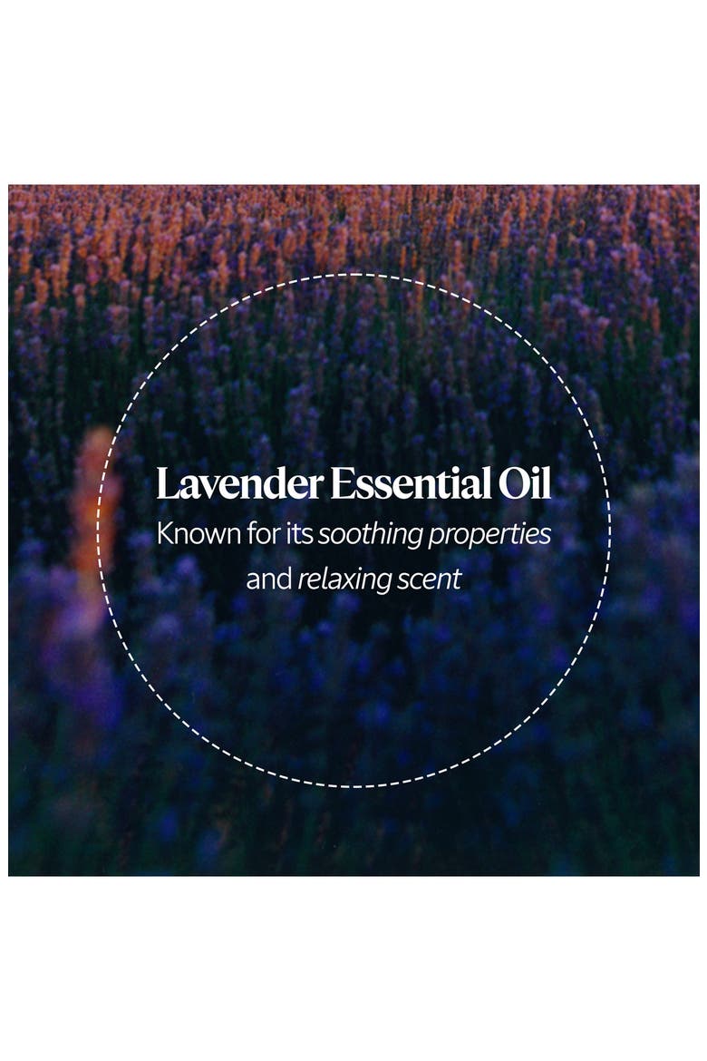 Shea Lavender Liquid Soap Refill Set, Alternate, color, NO COLOR