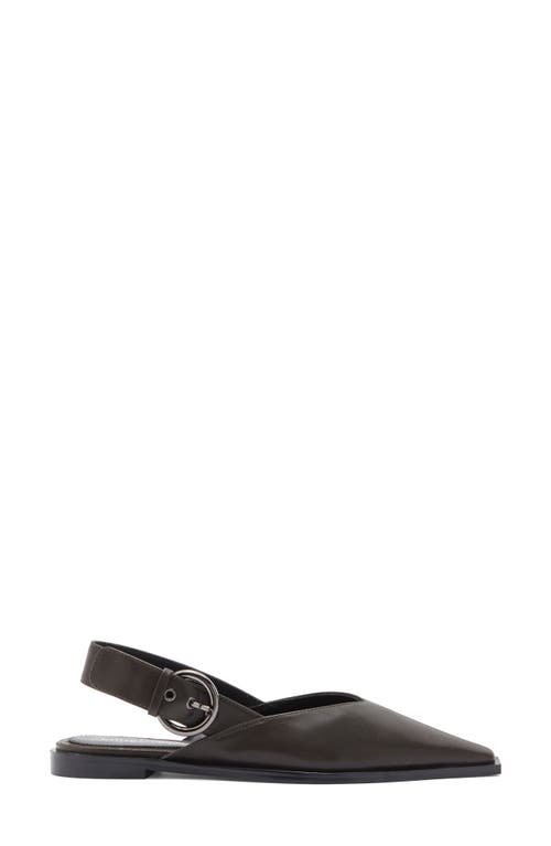 Jeffrey Campbell Wentz Slingback Flat In Brown