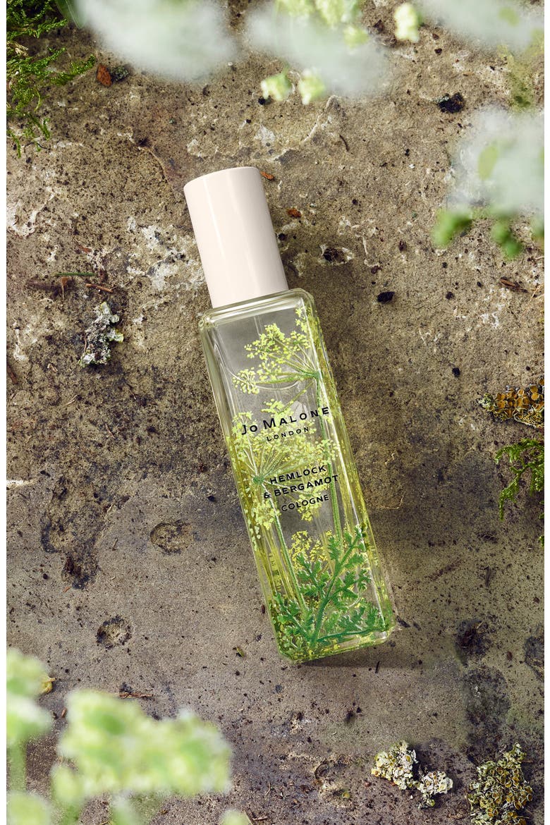 London™ Wild Flowers & Weeds Hemlock & Bergamot Cologne (Limited Edition), Alternate, color, NO COLOR