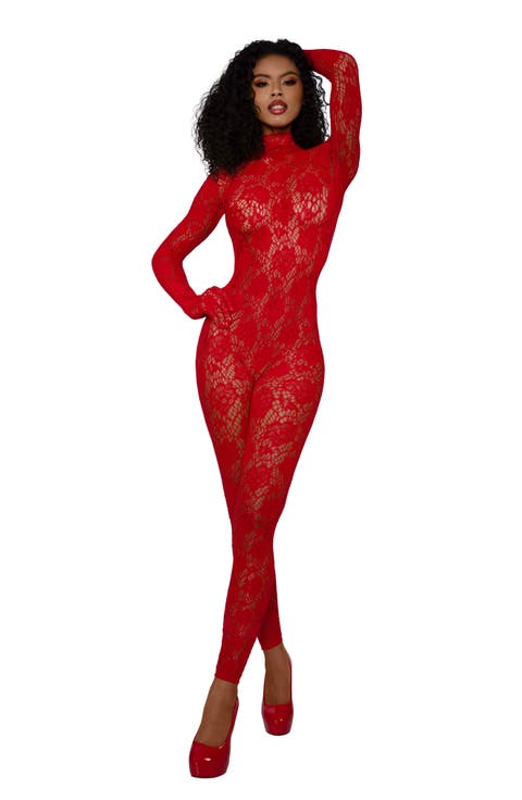 Lace Bodystocking