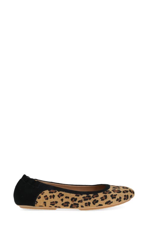 Dansko Madisen Geniune Calf Hair Ballet Flat In Animal Print