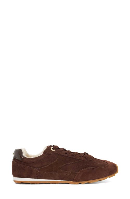 Dune London Engine Sneaker In Brown