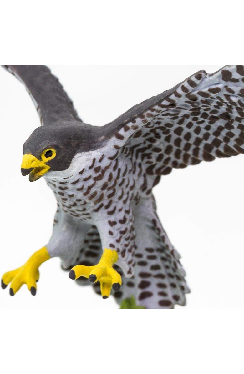Safari Ltd. Peregrine Falcon Kids Toy Figure, Alternate, color, NO COLOR