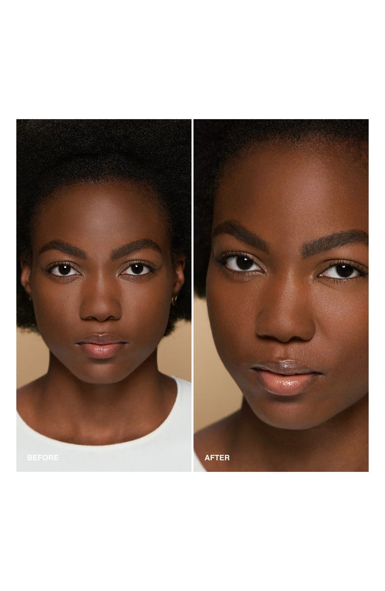 Bobbi Brown Sheer Finish Loose Powder, Alternate, color, New Warm Chestnut