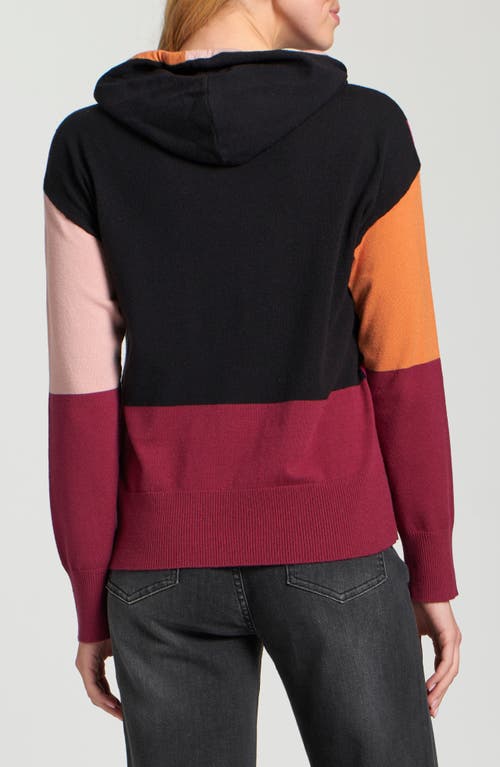 Apny Colorblock Sweater Hoodie In Multi