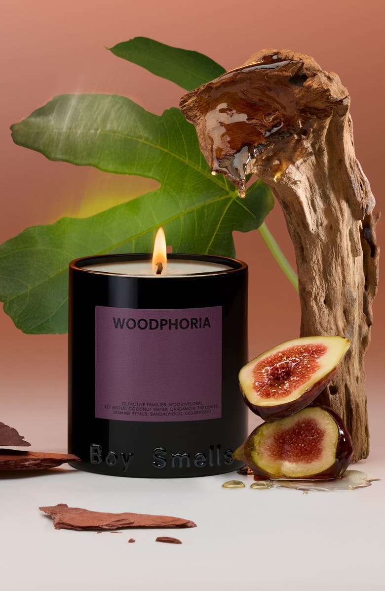 Boy Smells Woodphoria Candle, Alternate, color, 