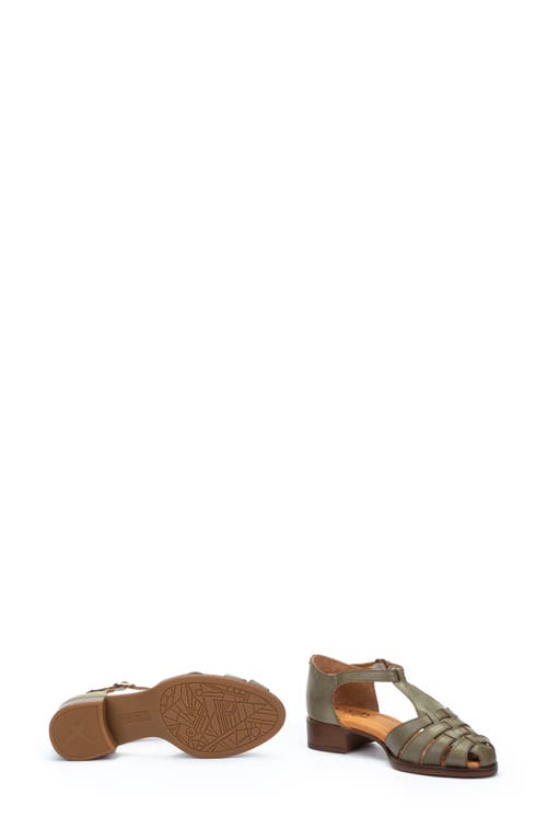 Pikolinos Valencia T-strap Sandal In Sage