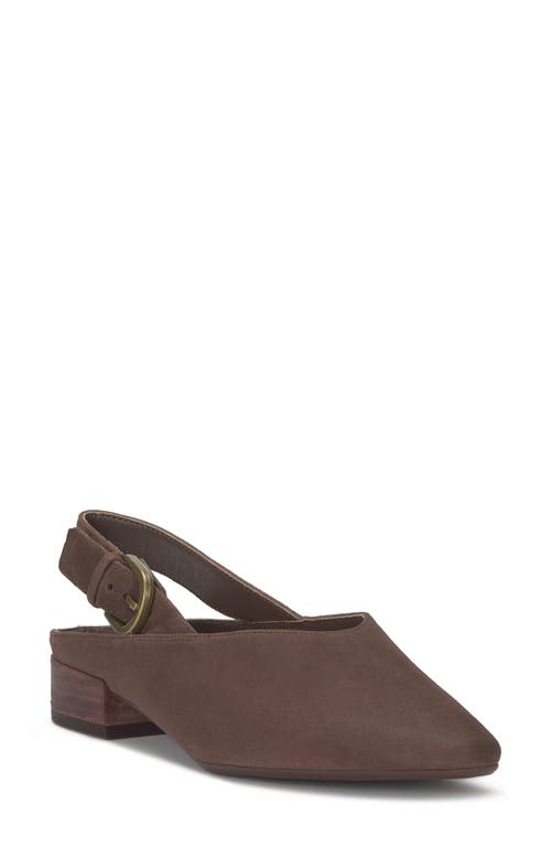 Lucky Brand Brigeet 2 Pointed Toe Pump In Brown