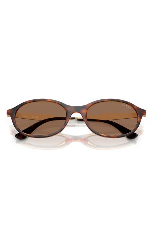 Vogue 52mm Oval Sunglasses In Dark Havana