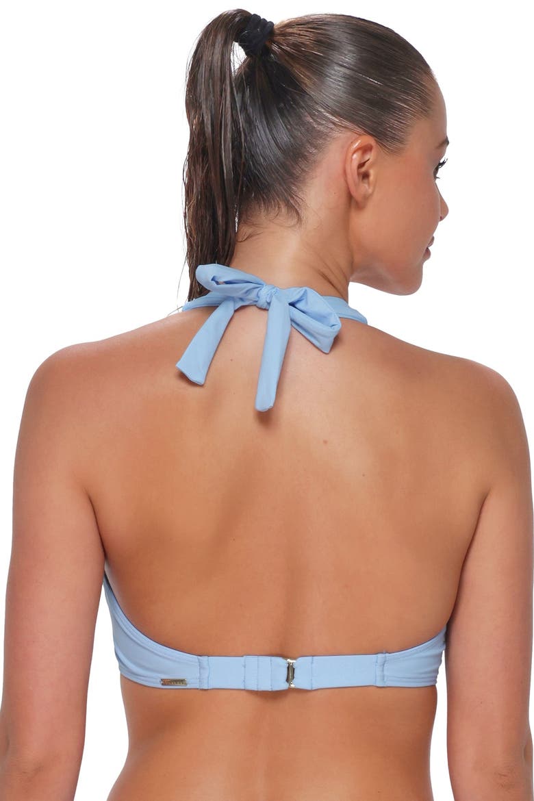 Muse Halter Bikini Swimsuit Top - D Cup, Alternate, color, Blue Whisper