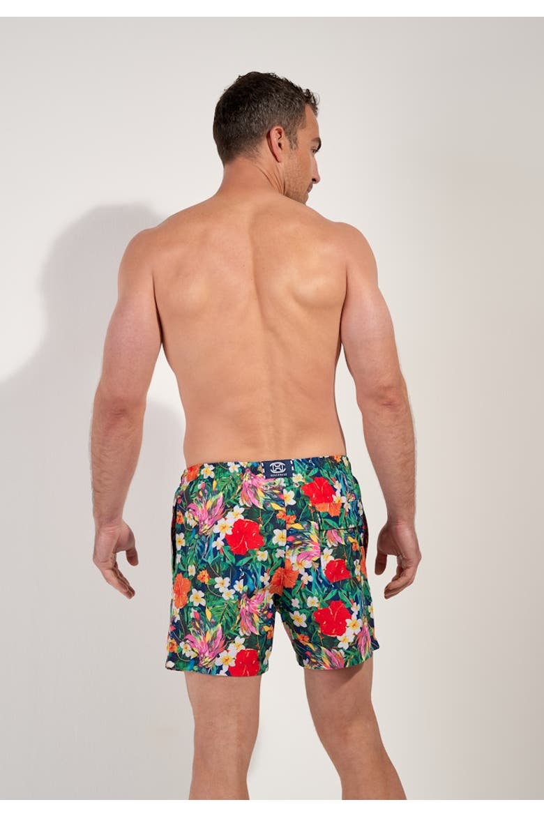 Peacock Beach Boxer, Alternate, color, Multico Print