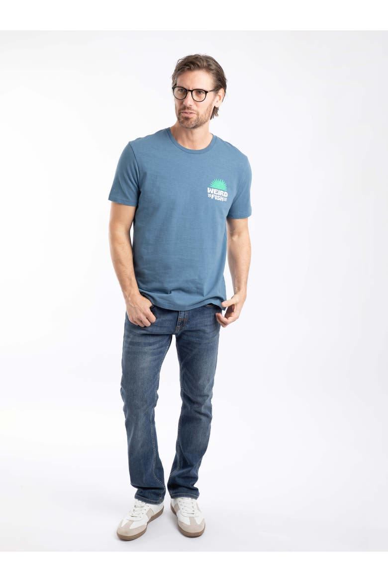 Sun Beam Back Print Graphic T-Shirt, Alternate, color, Washed Blue